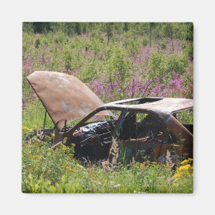 Imán abandonado del coche