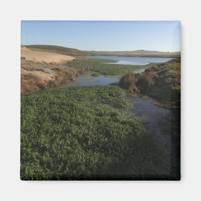 Imán Abbotts Lagoon I at Point Reyes National Seashore (Frente)