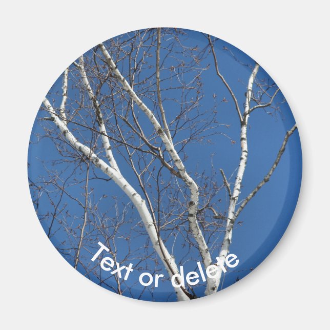 Imán Abedul de papel blanco cielo azul naturaleza perso (Frente)
