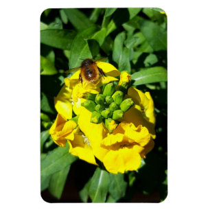Imán Abeja a las flores amarillas