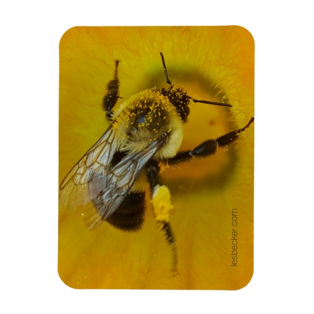 Imán Abeja cubierta de polen (Vertical)