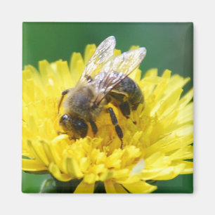 Imán abeja de la primavera