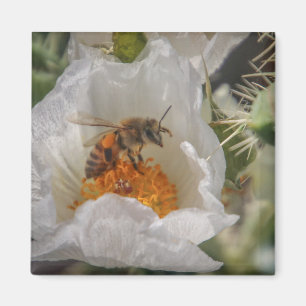 Imán abeja de rapto