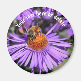 Imán Abeja En Flor De Aster Púrpura Personalizado Natur