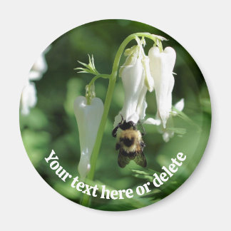 Imán Abeja En Flor De Columbina Blanca Personalizada