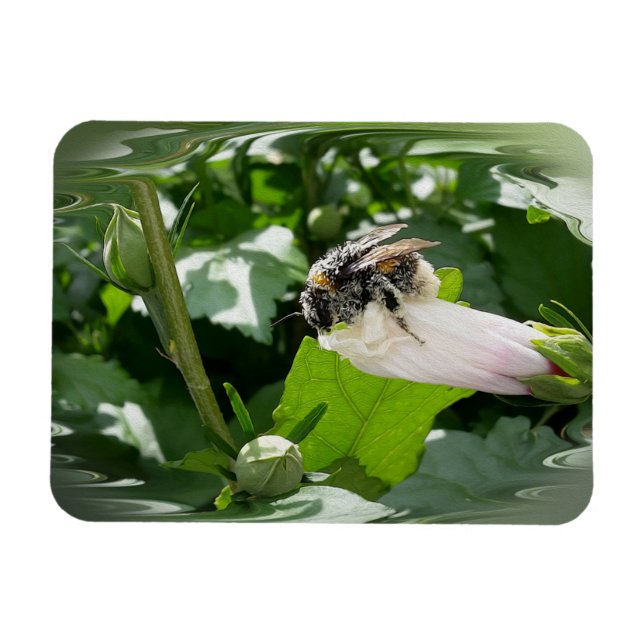 Imán Abeja en verano (Horizontal)