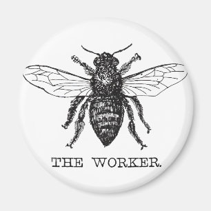 Imán Abeja Obrera Miel Abejorro Negro
