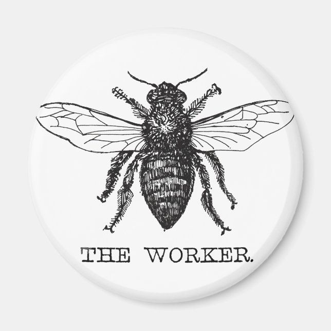 Imán Abeja Obrera Miel Abejorro Negro (Frente)