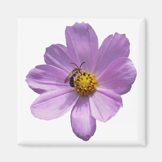 Imán Abeja sobre la flor morada (Frente)