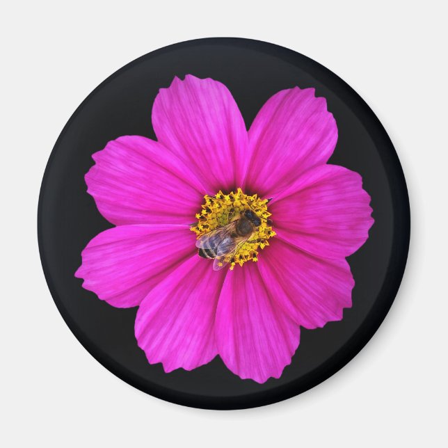 Imán abeja trabajadora (Frente)