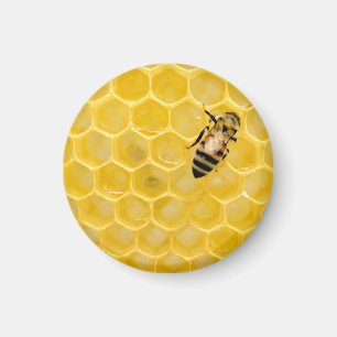 Imán abeja y abeja