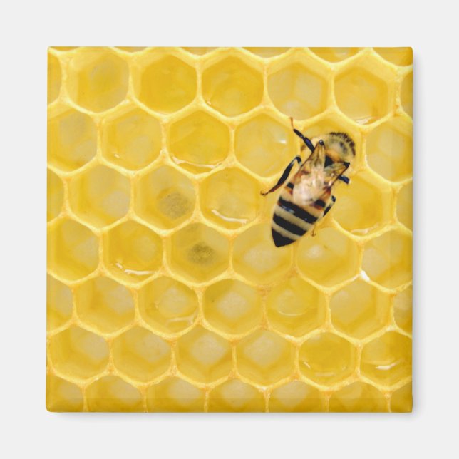 Imán abeja y abeja (Frente)