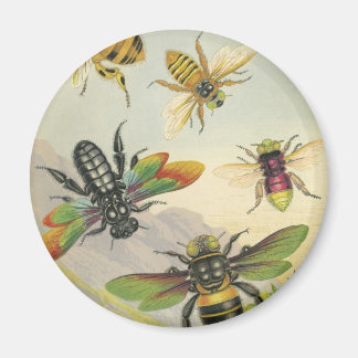 Imán Abejas