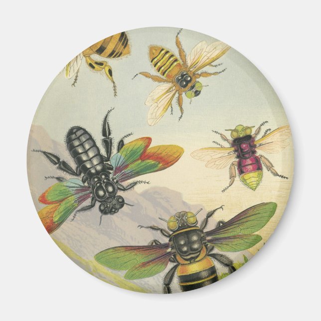 Imán Abejas (Frente)