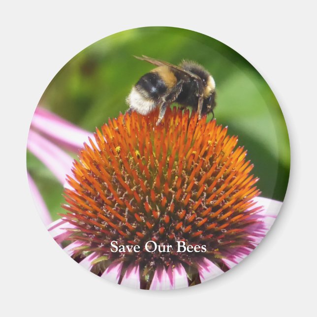 IMÁN ABEJAS (Frente)