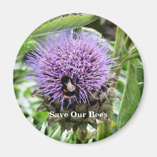 IMÁN ABEJAS