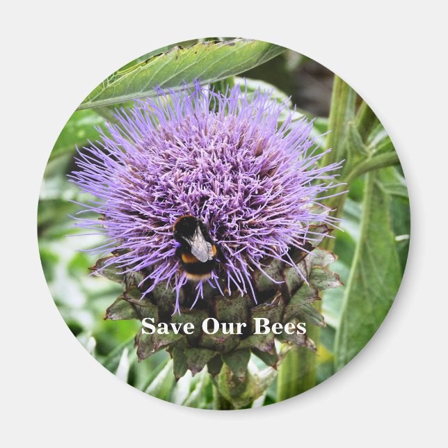 IMÁN ABEJAS   (Frente)