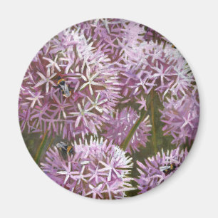 Imán Abejas 2014 del verano