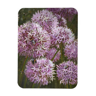 Imán Abejas 2014 del verano