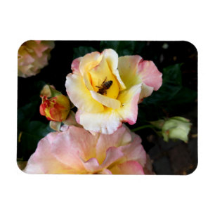 Imán Abejas con flores de rosas amarillas rosas