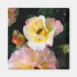 Imán Abejas con flores de rosas amarillas rosas