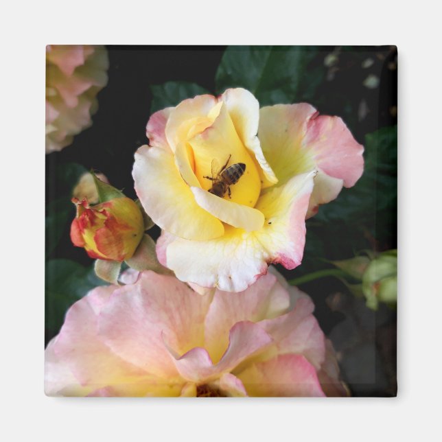 Imán Abejas con flores de rosas amarillas rosas (Frente)