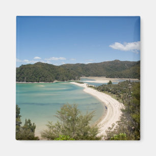 Imán Abel Tasman N.P. Shore DSC8721