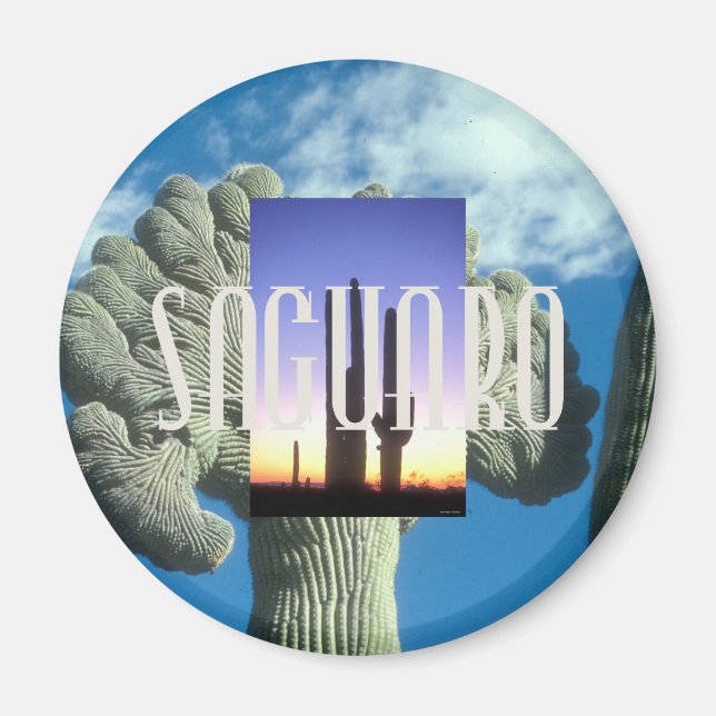 Imán ABH Saguaro (Frente)
