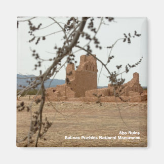 Imán Abo RuinasSalinas Pueblos Mono Nacional...