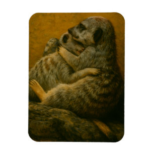 Imán Abrazo de Meerkat - Cortesía de arte de vida silve