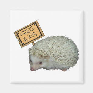 Imán Abrazos gratis Hedgehog