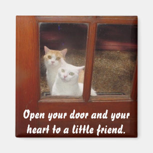 Imán Abre tu corazón