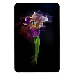Imán Abstract Iris Flower – Elegant Floral Art