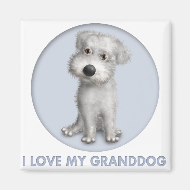 Imán Abuelo de Schnoodle (blanco) (Frente)