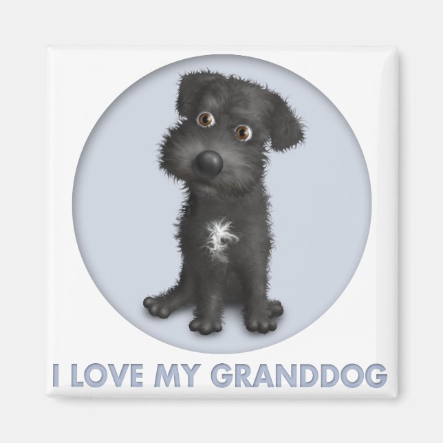 Imán Abuelo de Schnoodle (negro) (Frente)