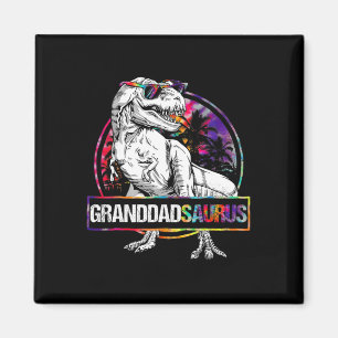 Imán Abuelosaurio Dinosaurio Abuelo Saurio Camiseta a j