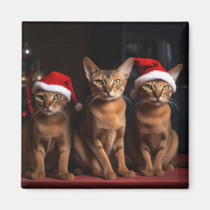 Imán Abysiniano por los Navidades de la chimenea