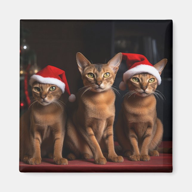 Imán Abysiniano por los Navidades de la chimenea (Frente)