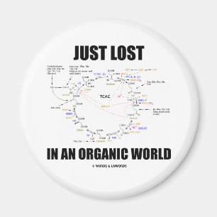 Imán Acaba De Perderse En Un Mundo Orgánico (Humor En