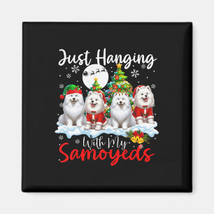 Imán Acabo De Colgar Con Mis Noches De Samoyeds Tres Pe