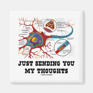 Imán Acabo De Enviarte Mis Pensamientos (Neurona / Sina
