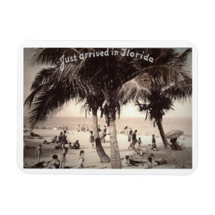 Imán ¡Acabo de llegar a Florida! Vintage