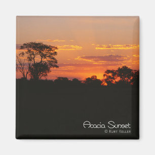 Imán Acacia Sunset