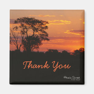 Imán Acacia Sunset Gracias Magnet