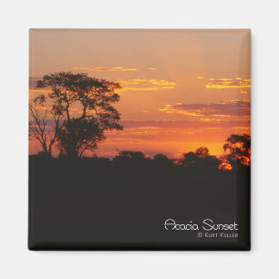 Imán Acacia Sunset Magnet