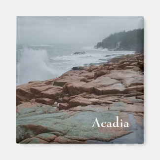 Imán Acadia Magnet - 2