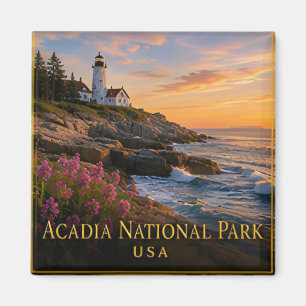 Imán Acadia Maine Costa Rocosas y Monte Cadillac