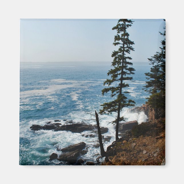 Imán Acadia Shore Magnet - 1 (Frente)