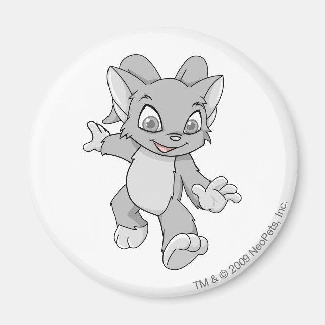 Imán Acara Silver (Frente)