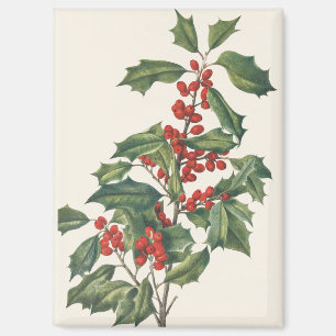 Imán Acebo Clásico de Navidad con Bayas Rojas Arte